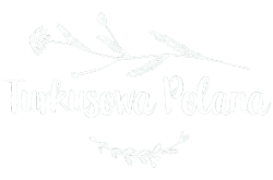 Szkoła Demokratyczna